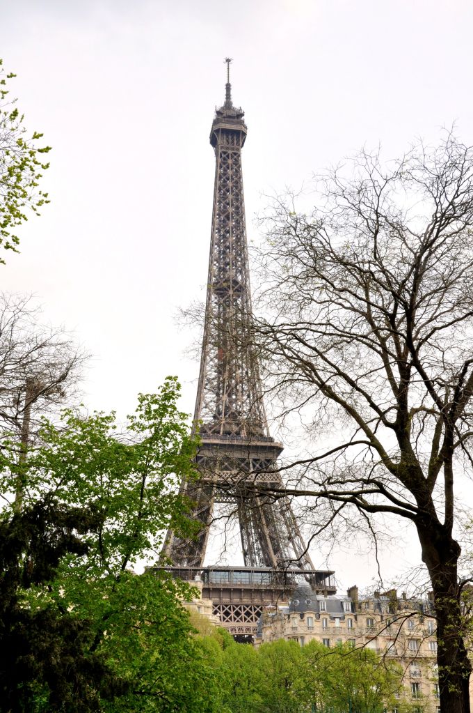 The Eiffel Tower!